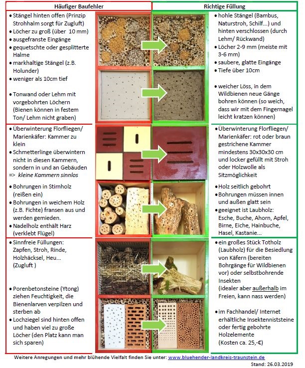 Wie sinnvoll sind Insektenhotels?