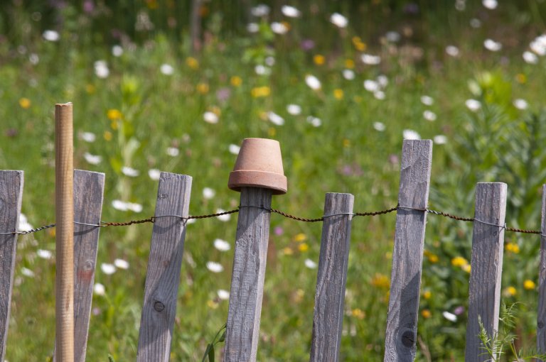 Naturgartenberatung