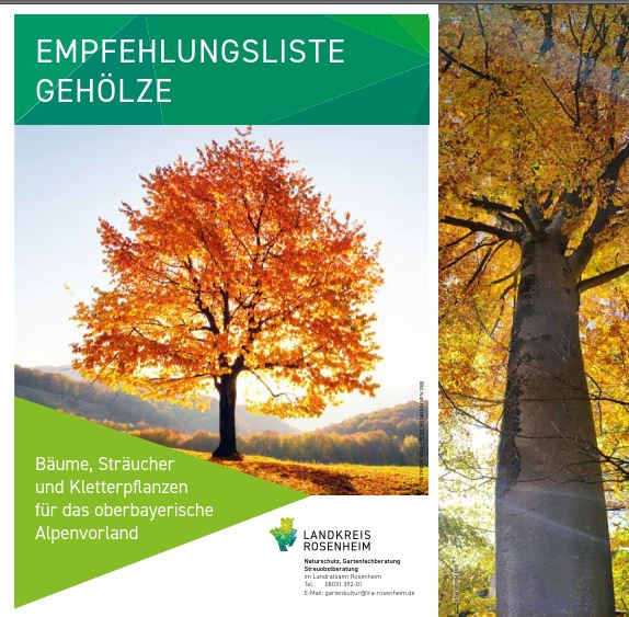 Broschüren
